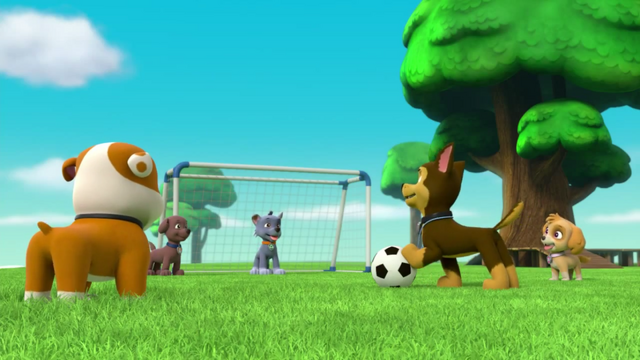 File:Pups Soccer 4.png