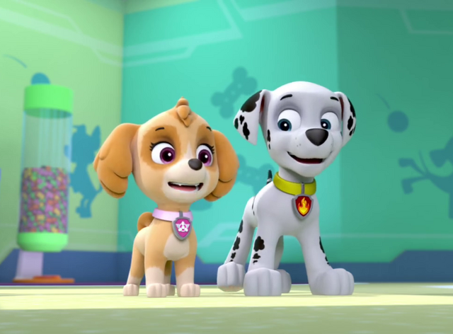 File:Vlcsnap-2014-05-17-09h14m38s238.png