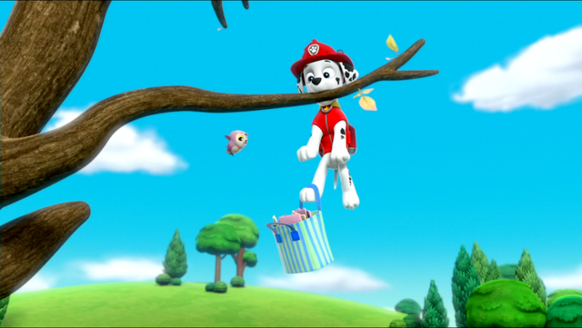 File:PP 46.png