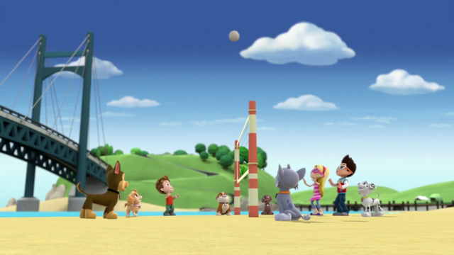 File:Vlcsnap-2014-04-17-08h37m54s122.png