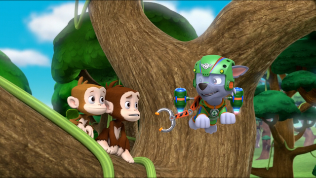 File:PAW Patrol Air Pups Rocky 2.png