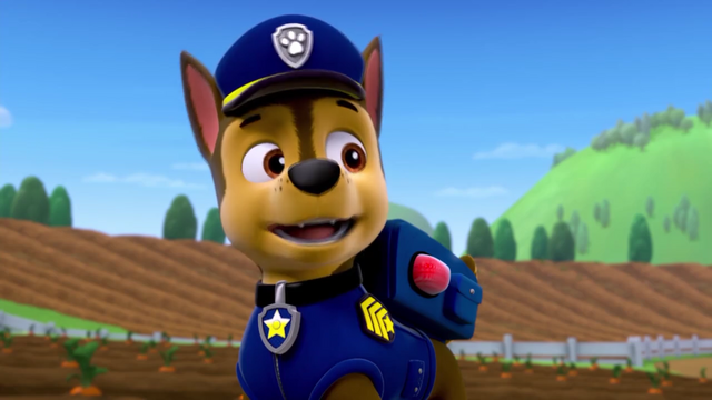 File:Screenshot 2016-12-17-22-26-15.png