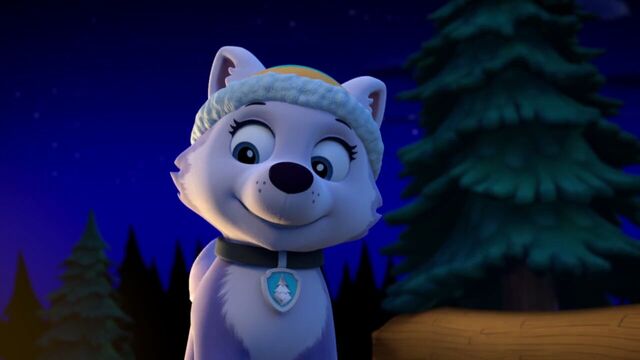 File:PAW.Patrol.S02E07.The.New.Pup.720p.WEBRip.x264.AAC 1324490.jpg
