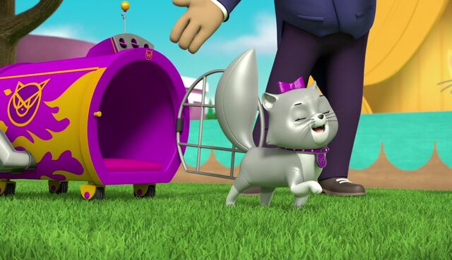 File:The Cat Show 16.jpg