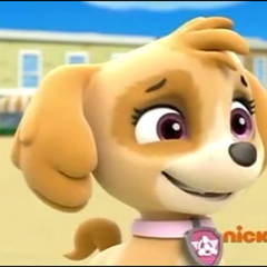 Skye/Gallery/Pups Save the Turbots | PAW Patrol Wiki | FANDOM powered by Wikia