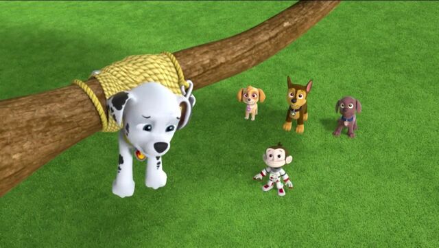 File:PAW Patrol Monkey-naut Scene 18.jpg
