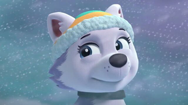 File:PAW.Patrol.S02E07.The.New.Pup.720p.WEBRip.x264.AAC 473039.jpg