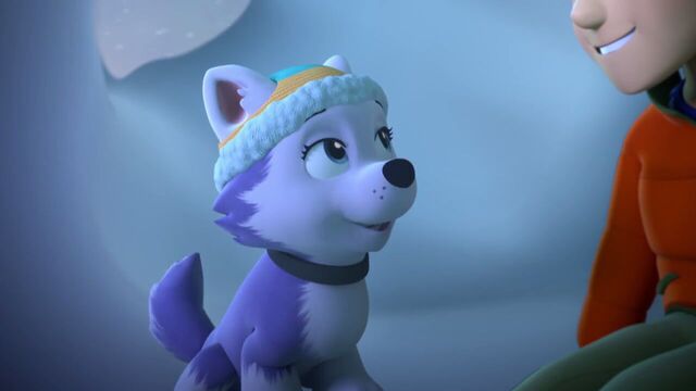 File:PAW.Patrol.S02E07.The.New.Pup.720p.WEBRip.x264.AAC 578378.jpg