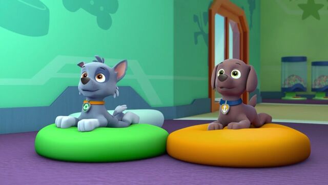 File:PAW Patrol Lost Tooth Scene 40 Rocky Zuma.jpg