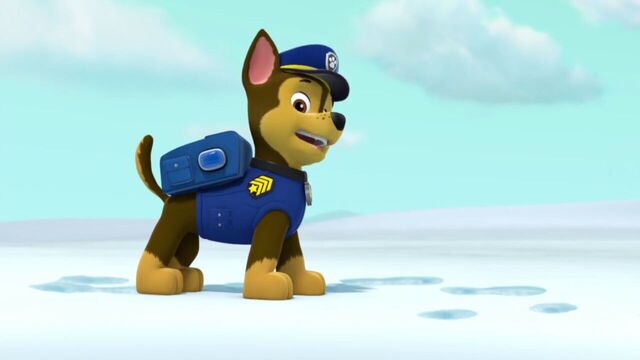File:PAW.Patrol.S02E07.The.New.Pup.720p.WEBRip.x264.AAC 845511.jpg