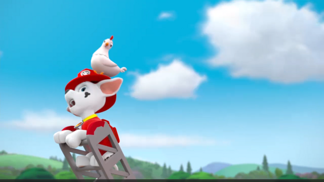 File:Pp1658.png