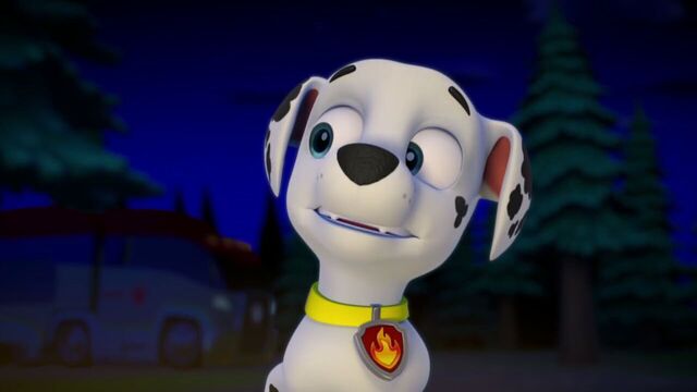 File:PAW.Patrol.S02E07.The.New.Pup.720p.WEBRip.x264.AAC 1331630.jpg