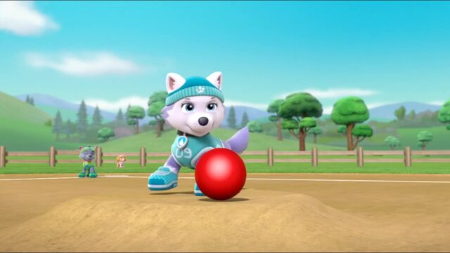 File:All Star Pups! 17.jpg