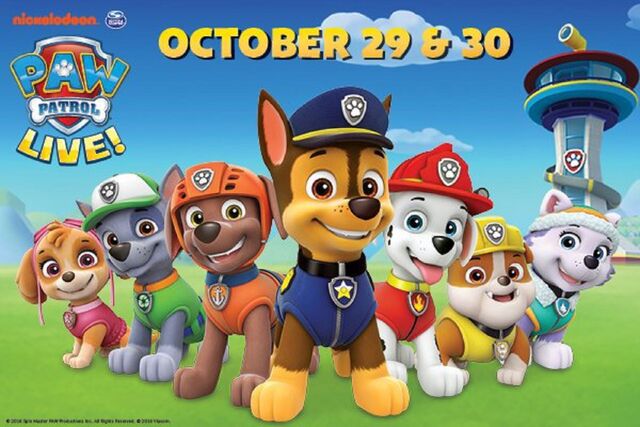 File:.028 Paw Patrol & Zachary 28 24 20 22 25.jpg