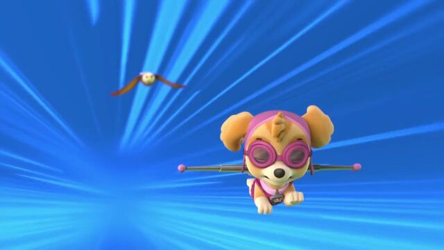 File:PAW.Patrol.S01E26.Pups.and.the.Pirate.Treasure.720p.WEBRip.x264.AAC 729796.jpg