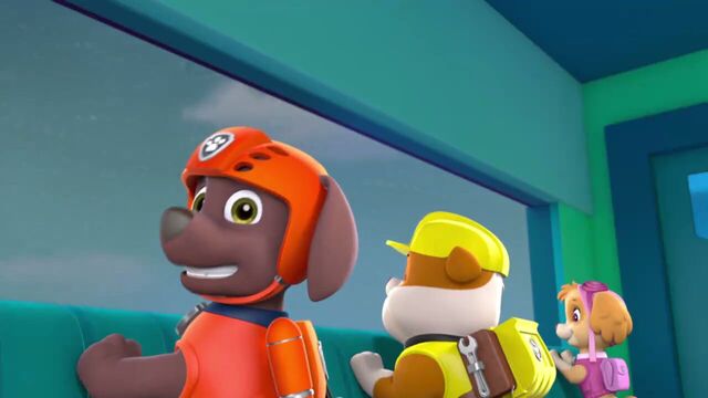 File:PAW.Patrol.S02E07.The.New.Pup.720p.WEBRip.x264.AAC 635502.jpg