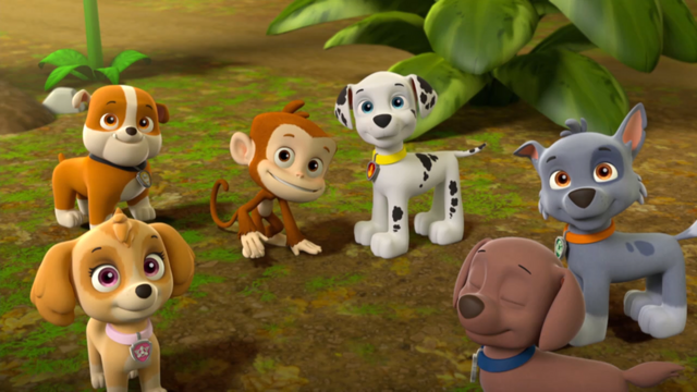 File:Pp3080.png