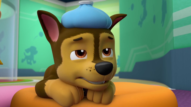 File:Vlcsnap-2014-11-02-10h10m51s142.png