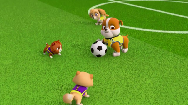 File:Pups Soccer 21.png