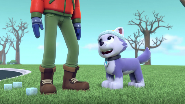 File:Screenshot 2016-12-28-20-42-36.png