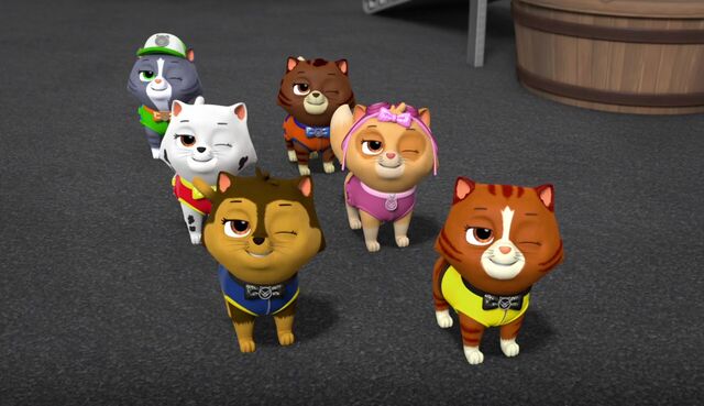 File:The Cat Show 7.jpg