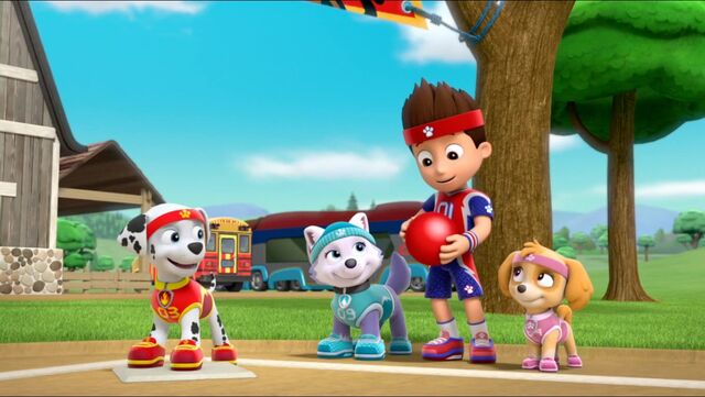 File:All Star Pups! 34.jpg