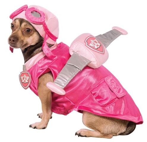 File:Pet costume- Skye.jpg
