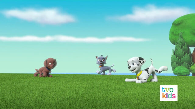 File:PAW Patrol 320B Scene 11 Marshall Rocky Zuma.jpg