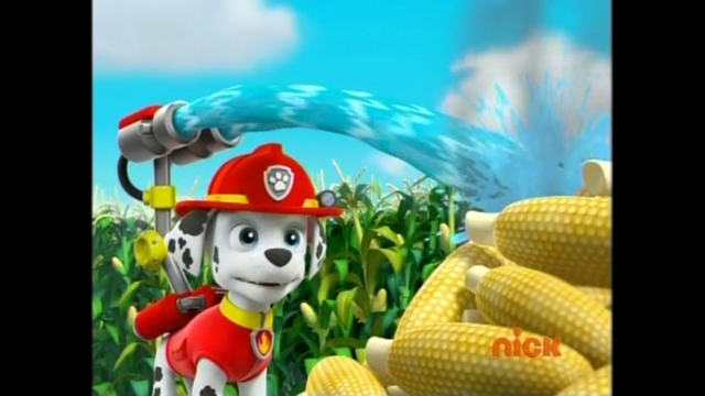 File:Pp2011.png