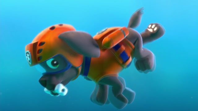File:Screenshot 2016-12-12-11-32-51.png