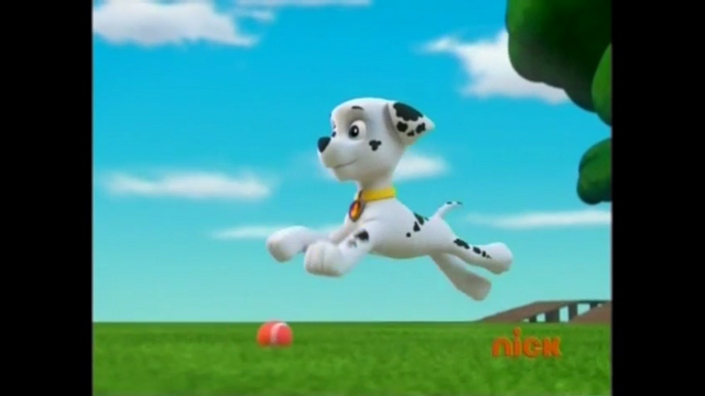 File:Pp335.png