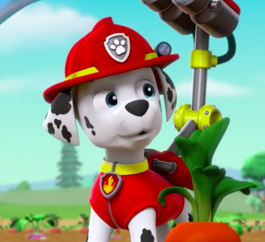 File:Screenshot 2017-05-19 09.17.41.png