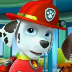 Marshall/Gallery/Pups and the Kitty-tastrophe | PAW Patrol Wiki ...