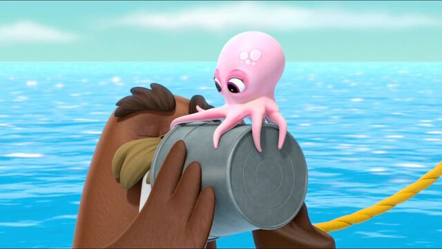 File:Baby Octopus 22.jpg