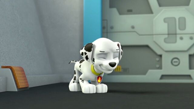 File:PAW.Patrol.S01E26.Pups.and.the.Pirate.Treasure.720p.WEBRip.x264.AAC 139573.jpg