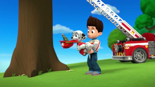 File:PAW.Patrol.S01E26.Pups.and.the.Pirate.Treasure.720p.WEBRip.x264.AAC 964096.jpg
