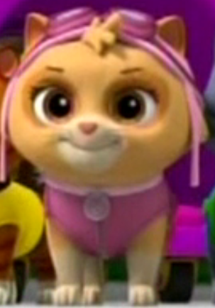Cat Skye | PAW Patrol Wiki | FANDOM powered by Wikia