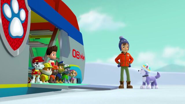 File:PAW.Patrol.S02E07.The.New.Pup.720p.WEBRip.x264.AAC 1222521.jpg