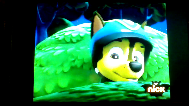 File:Pp991.png