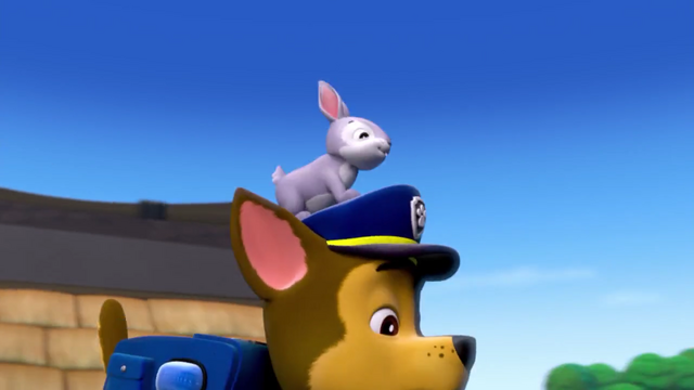 File:Screenshot 2016-12-17-22-23-40.png