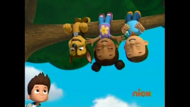 File:Pp2511.png