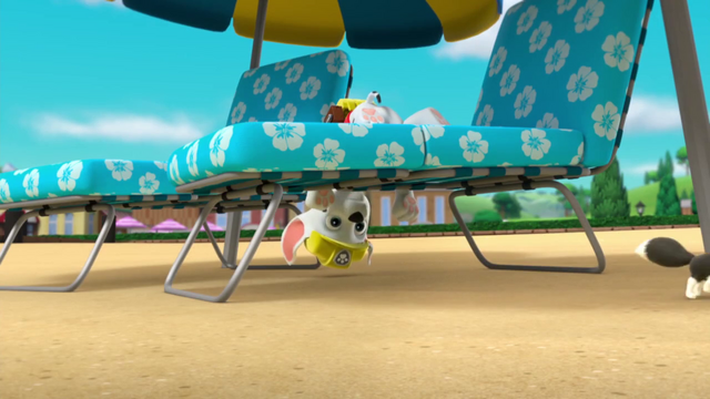 File:Vlcsnap-2015-04-11-18h47m53s134.png
