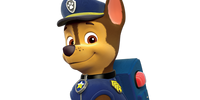 ryder chase paw patrol