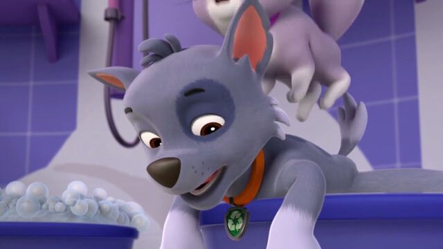 File:PAW.Patrol.S01E15.Pups.Make.a.Splash.-.Pups.Fall.Festival.720p.WEBRip.x264.AAC 511378.jpg
