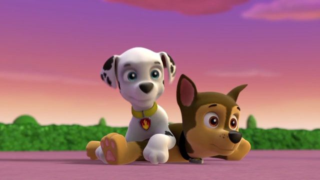 File:Screenshot 2016-12-20-12-19-41.png