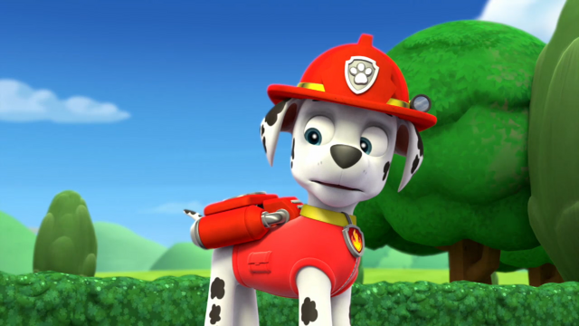 File:Pp873.png