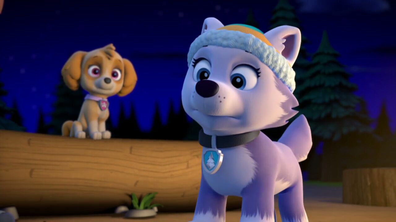 paw patrol new pup 2020 rex