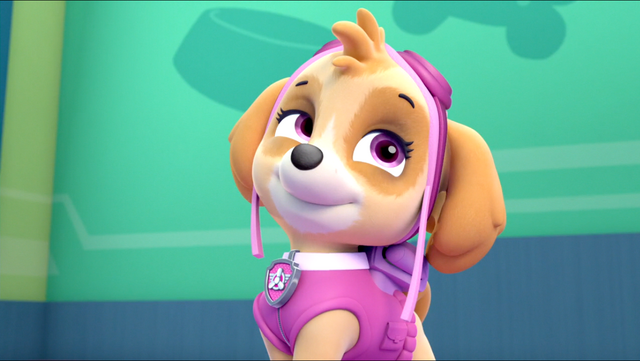 File:PP 2.png