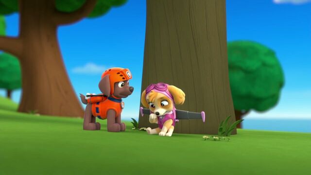 File:PAW.Patrol.S01E26.Pups.and.the.Pirate.Treasure.720p.WEBRip.x264.AAC 908541.jpg