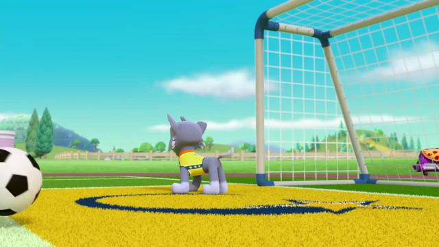 File:Pups Soccer 28.png